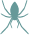 spinne